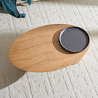 Modern Oval Luxury Coffee Table, Sophisticated Living Room Center Table